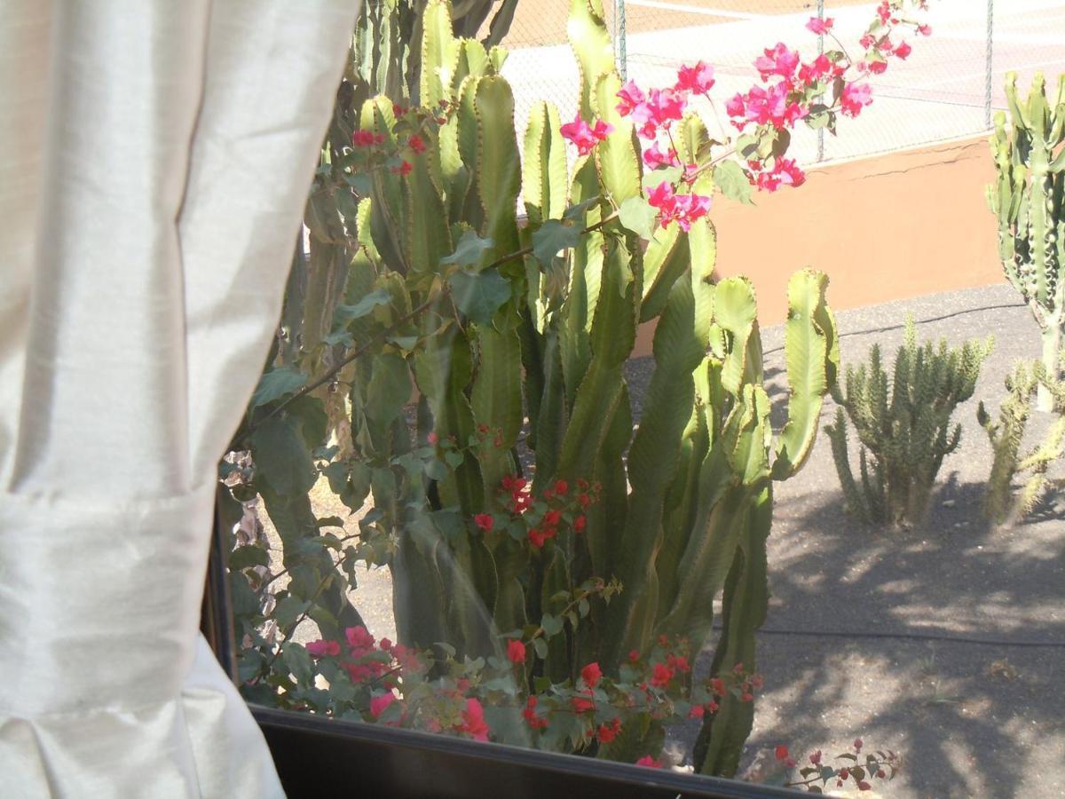 Family Apartment 1 Bedroom With Pool View - Oasis Duna Resort Corralejo Exterior foto